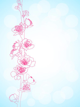 背景與櫻花花