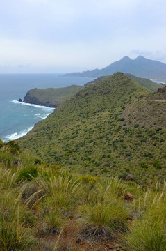 Cabo de Gata自然公園