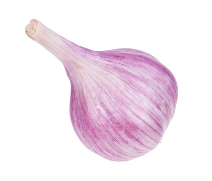 新鮮大蒜