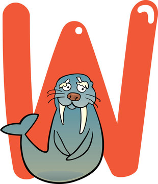 W的海象