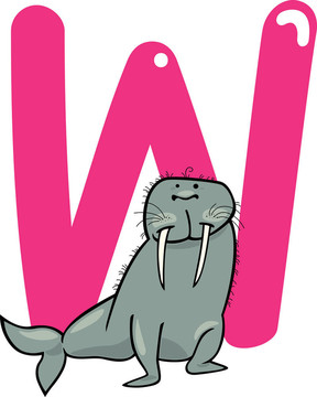 W的海象