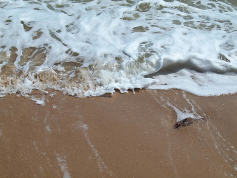 漣漪沖浪
