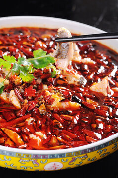 家常鰱魚
