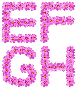 字母花字母孤立