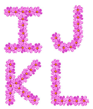 字母花字母孤立