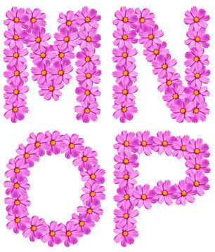 字母花字母孤立