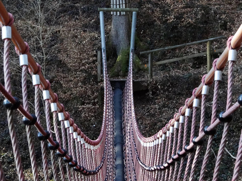 搖擺橋