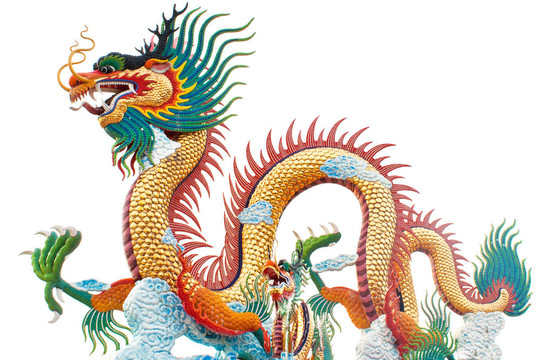白色背景上的龍