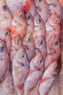 新鮮魚類。