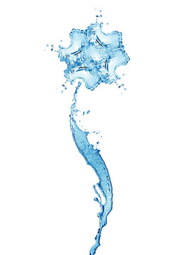 水的花