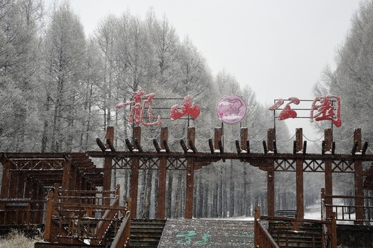 龍山公園