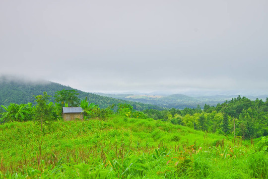 陰天和農(nóng)田