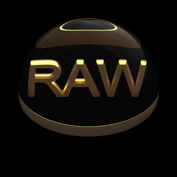 3D風(fēng)格文件格式圖標(biāo)- RAW