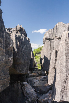 Tsingy of Ankarana