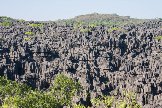 Tsingy of Ankarana
