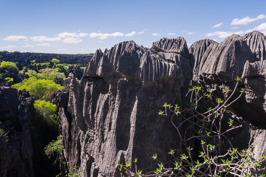 Tsingy of Ankarana