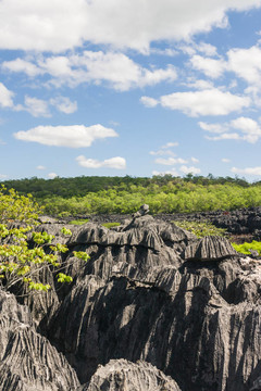 Tsingy of Ankarana