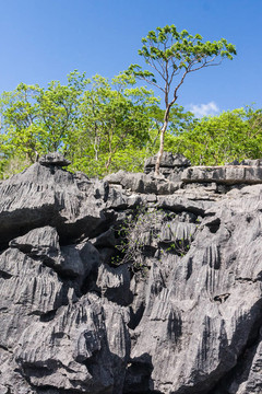 Tsingy of Ankarana