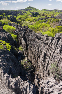 Tsingy of Ankarana