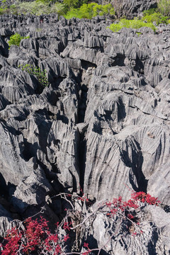 Tsingy of Ankarana