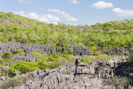 Tsingy of Ankarana