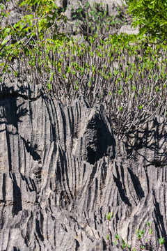 Tsingy of Ankarana