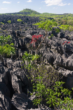 Tsingy of Ankarana