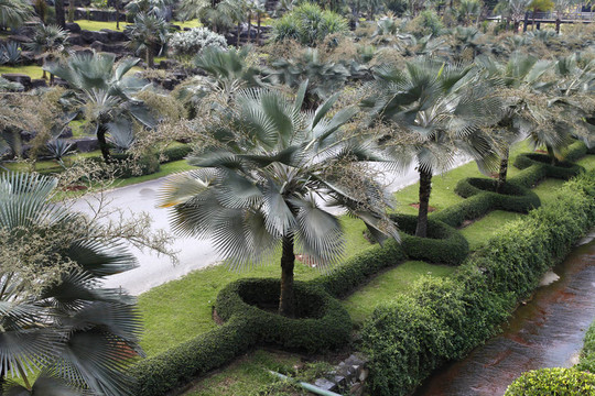 nongnooch熱帶植物園