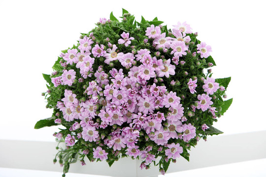 漂亮的鮮花花束