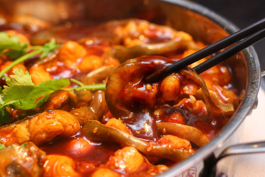 鯰魚燜鍋