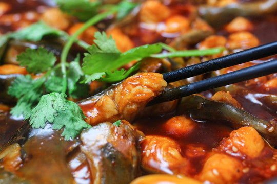 鯰魚燜鍋