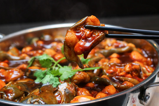 鯰魚燜鍋