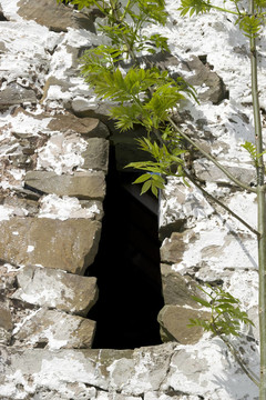 一个爱尔兰老石头墙窗