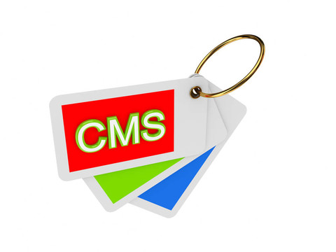 豐富多彩的標(biāo)簽和文字的CMS。