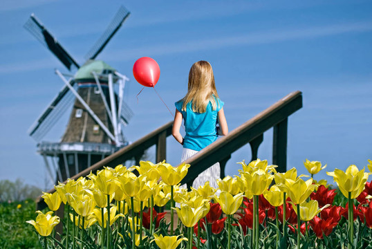 红气球的荷兰女孩