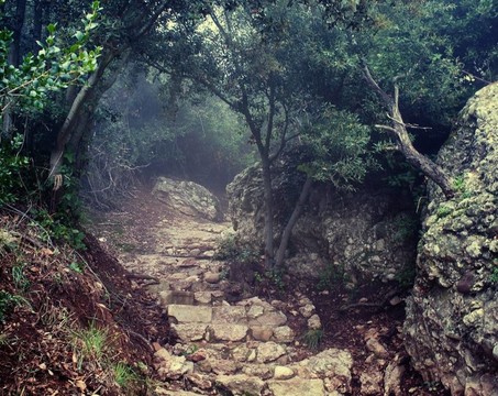 在山上損壞的舊路。