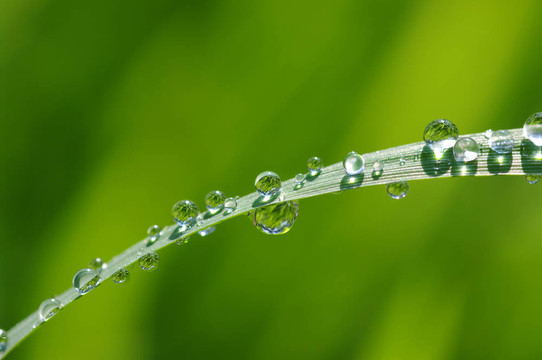 水滴