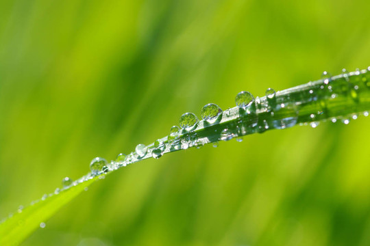 水滴