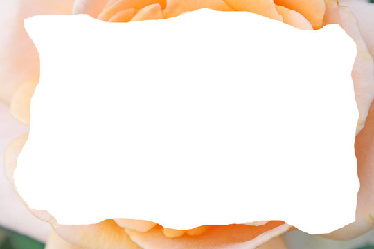 花框
