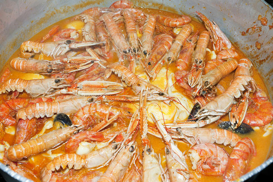 薩蘇埃拉的魚(yú)