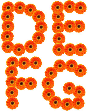 字母花