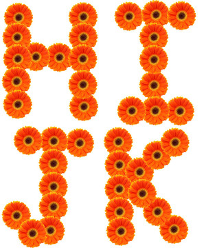 字母花