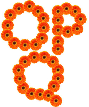 字母花