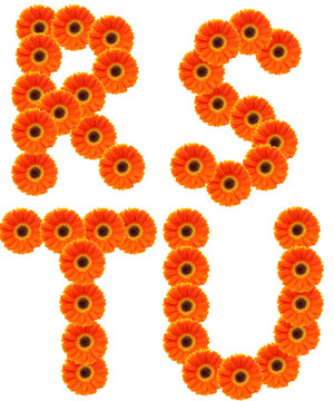 字母花