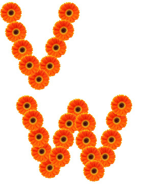 字母花