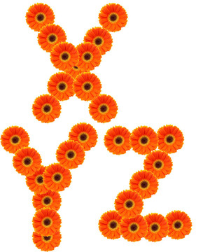 字母花