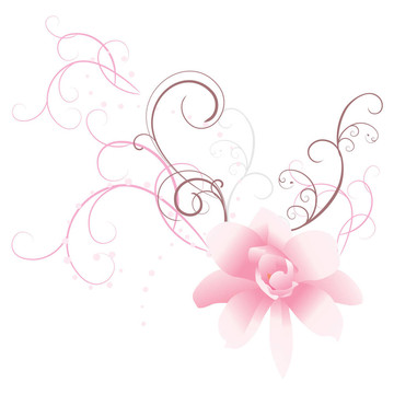 粉紅色的花?；ǖ谋尘? style=