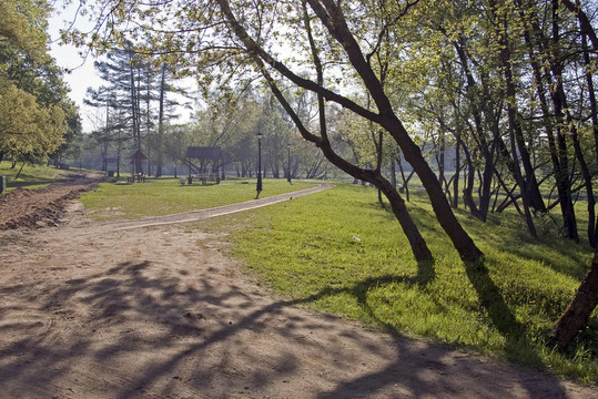 老公園的早晨