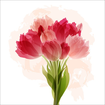 花香背景郁金香花束