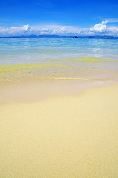海灘和熱帶海